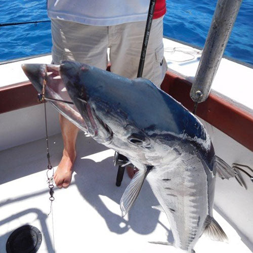 Barracuda Fishing Tackle, Gear & Equipment