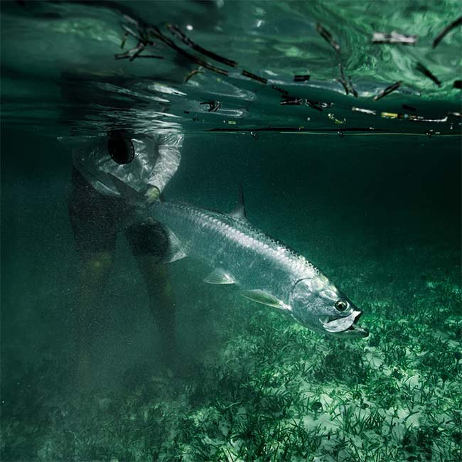 Tarpon Fishing Tackle, Gear & Equipment