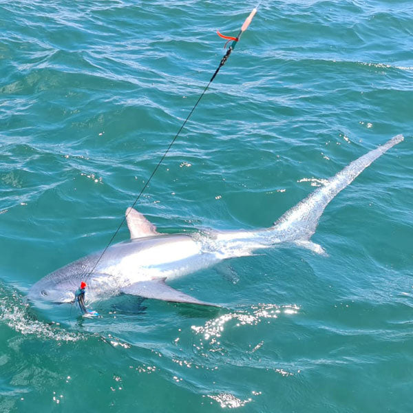 Shark Fishing Line - Mono & Braided Line