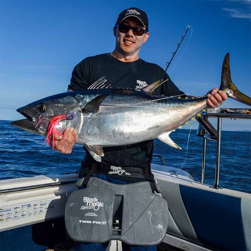 Black Magic Equalizer Twin Pin Pro Belt / Harness Set