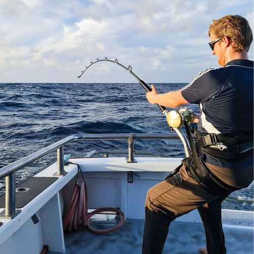 Black Magic Equalizer Twin Pin Pro Belt / Harness Set