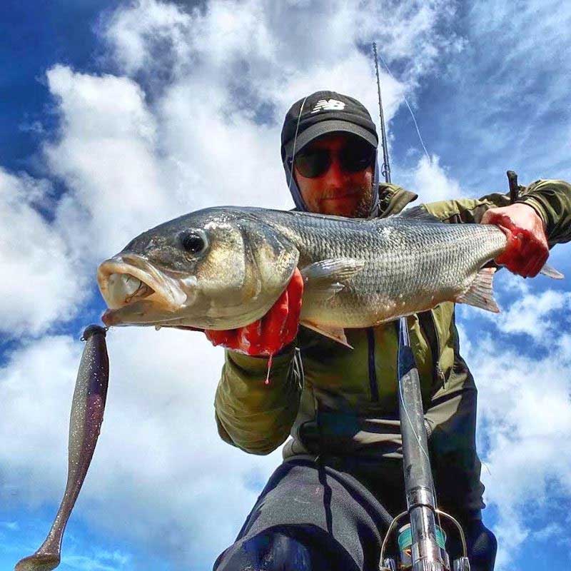 Keitech Easy Shiner Softbait Lures