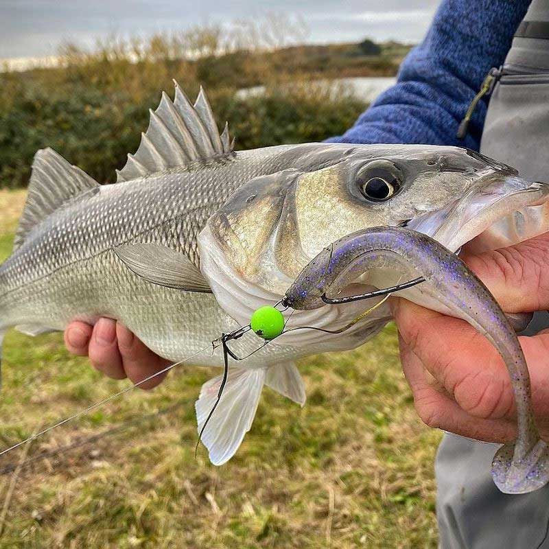 Keitech Easy Shiner Softbait Lures