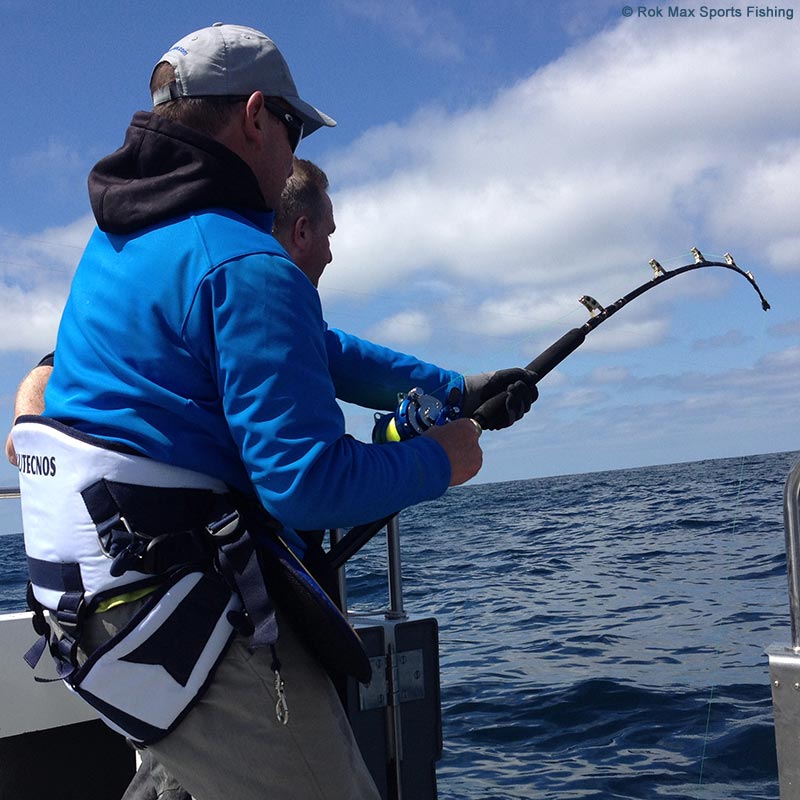 Alutecnos Albacore Stand-Up Big Game Fishing Rod