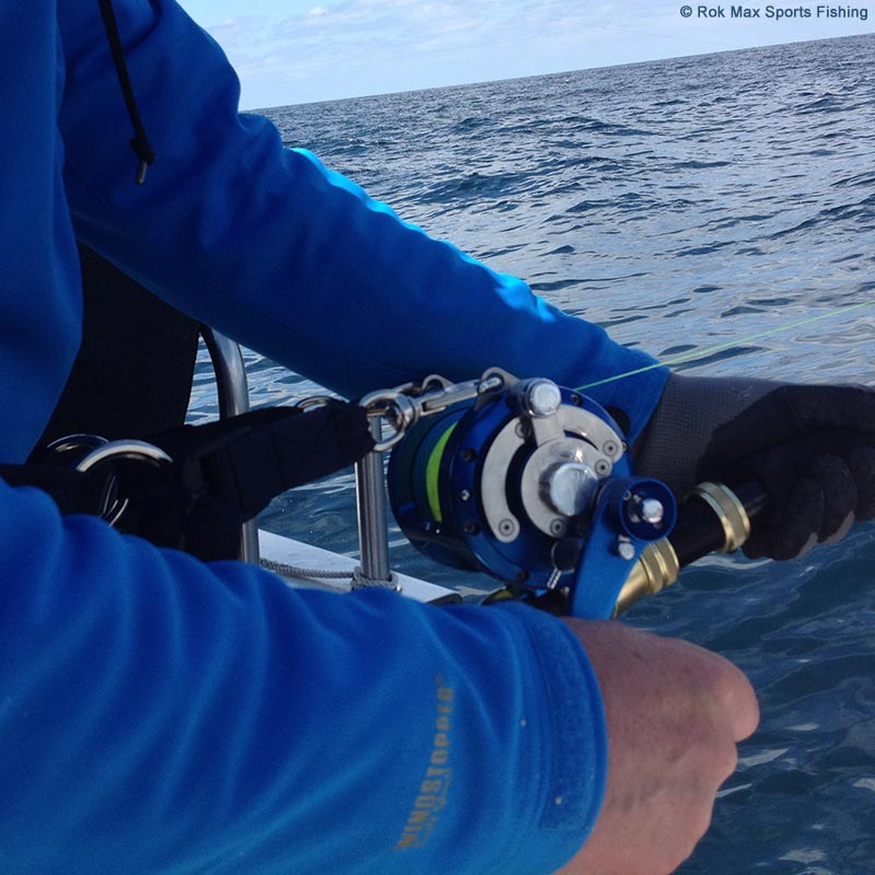 Avet EXW30-2 Two Speed Big Game Reel