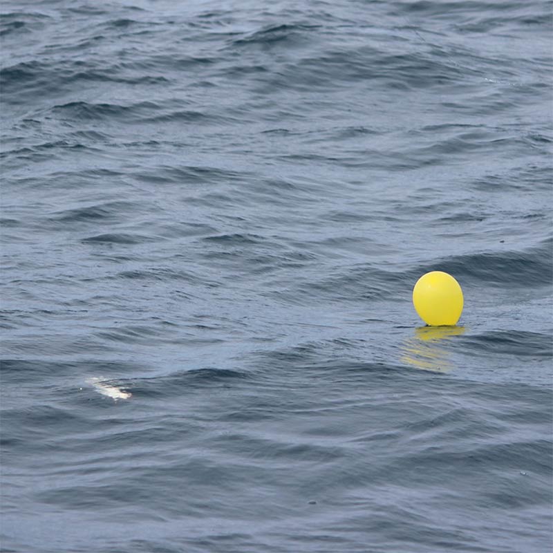 Fisher King Balloon Fishing Clip