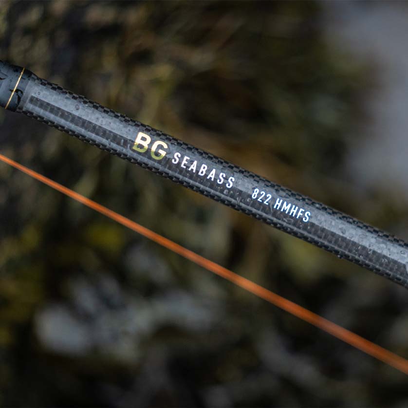 Daiwa BG Sea Bass Spinning Rod