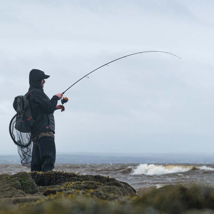 Daiwa BG Sea Bass Spinning Rod