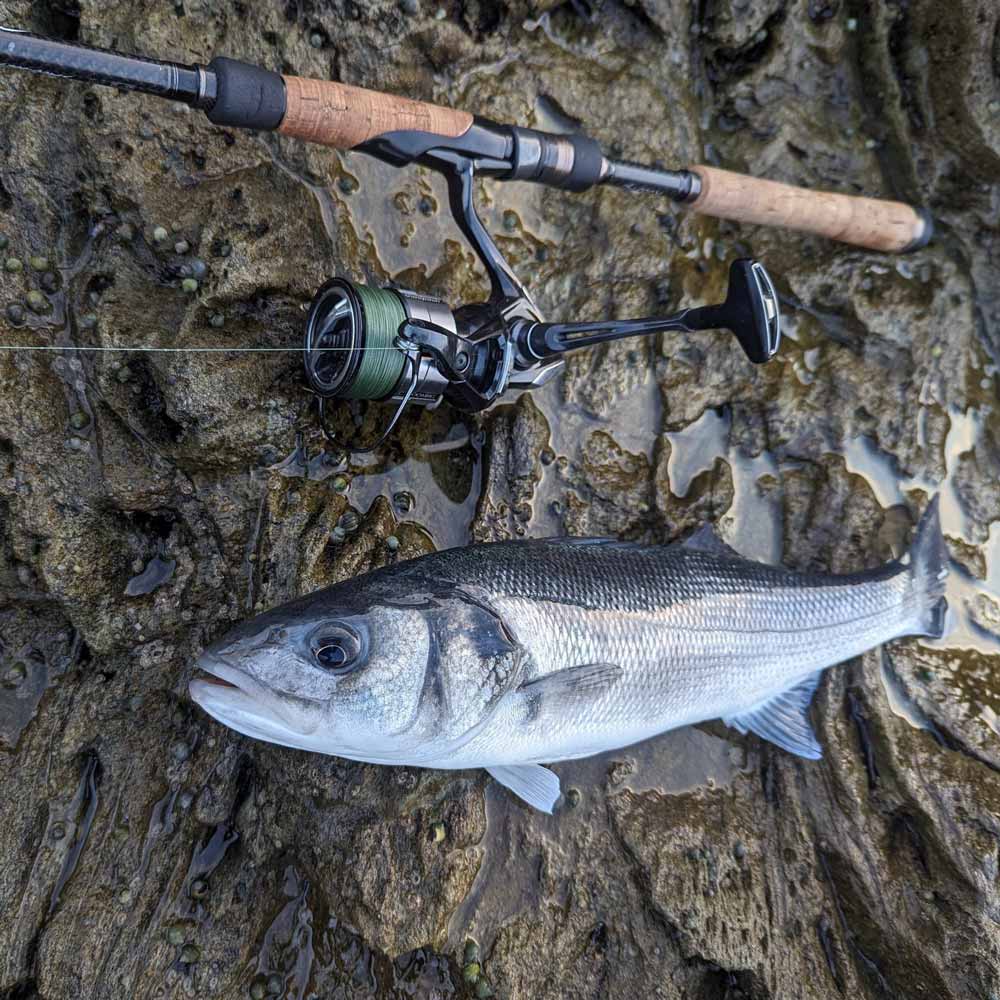 Major Craft Seabass Custom Marc Cowling Edition Lure Rod