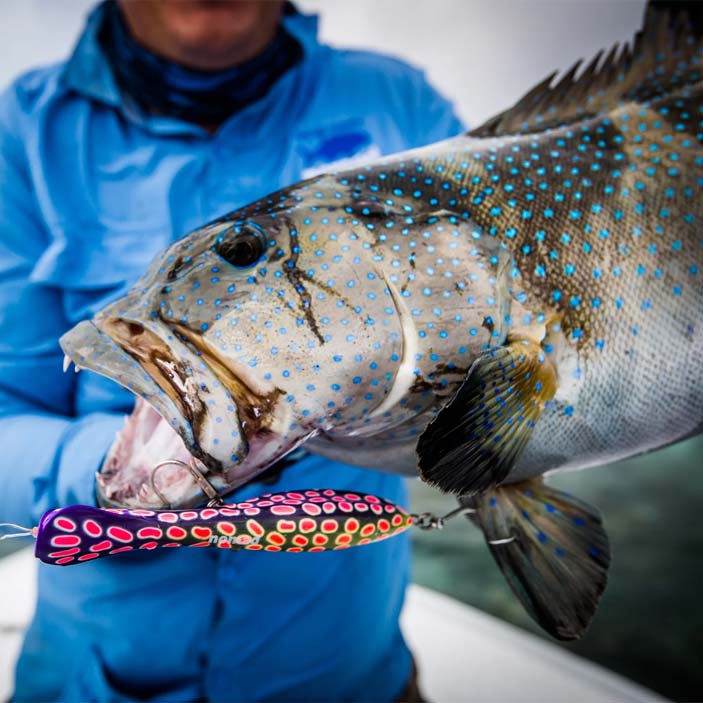 Nomad Dartwing Skipping Lure