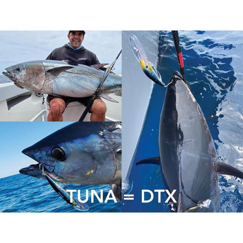 Nomad DTX Minnow Lure