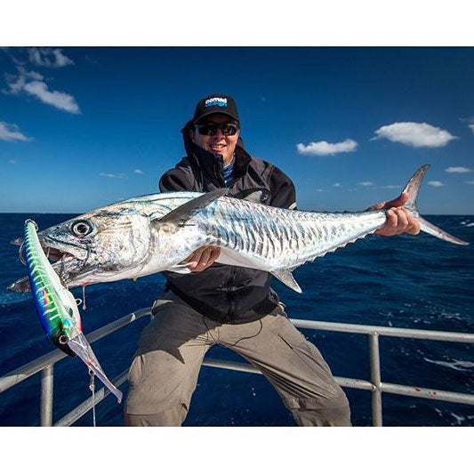 Nomad DTX Minnow Lure