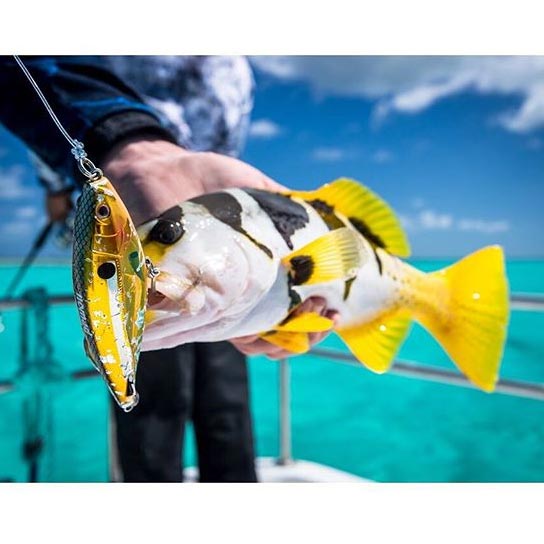 Nomad Madscad Stickbait Lure