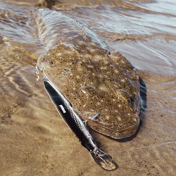 Nomad Shikari Jerkbait Lure