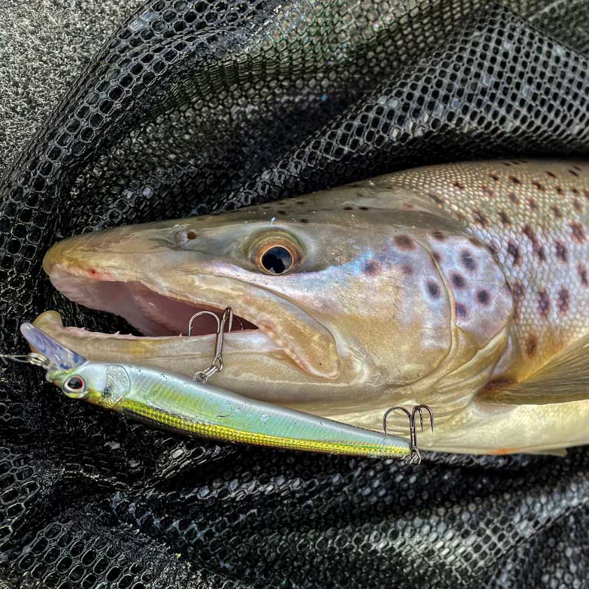 Nomad Shikari Jerkbait Lure