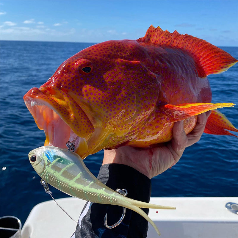 Nomad Vertrex Max Vibe Lures