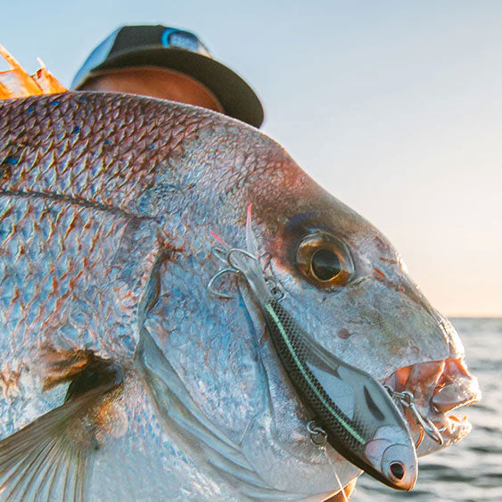 Nomad Vertrex Swim Vibe Lures