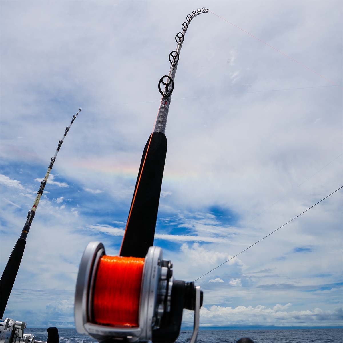 Penn Ally II Offshore Casting/Popping Rods