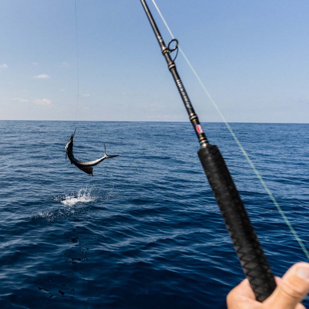 Penn Ally II Offshore Casting/Popping Rods