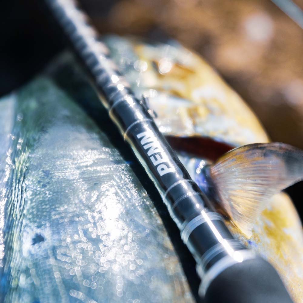 Penn Conflict Elite Spinning Rod
