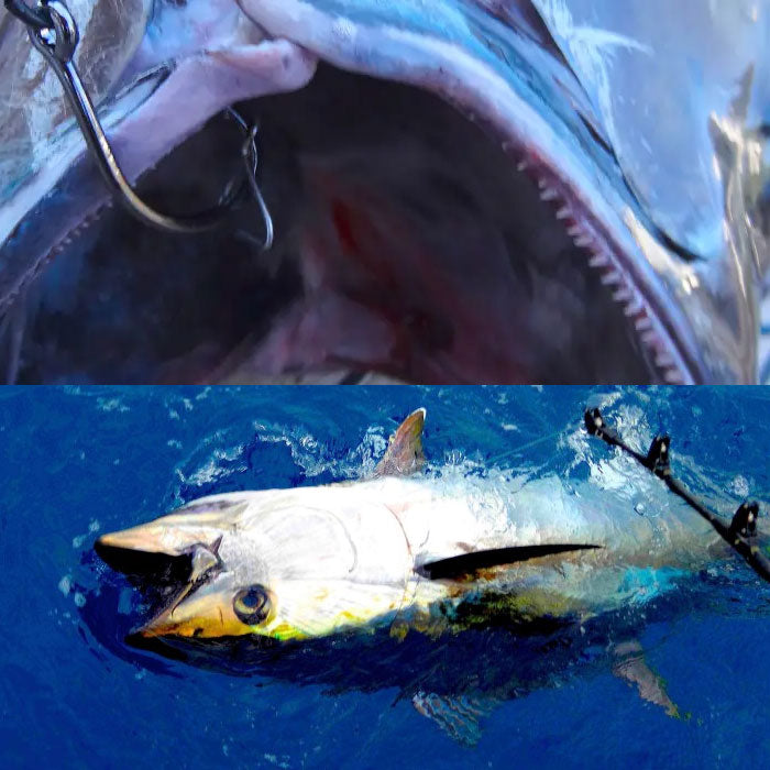 Quick Rig Bait Bridling Tool & Bridling Clips