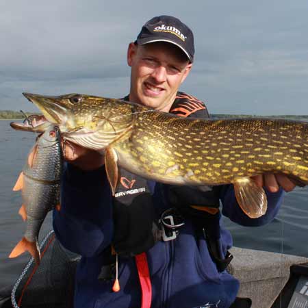 Savage 4D Herring Big Shad Lure