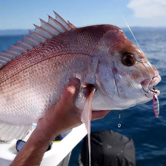 Storm Gomoku Slow Rocker Jig