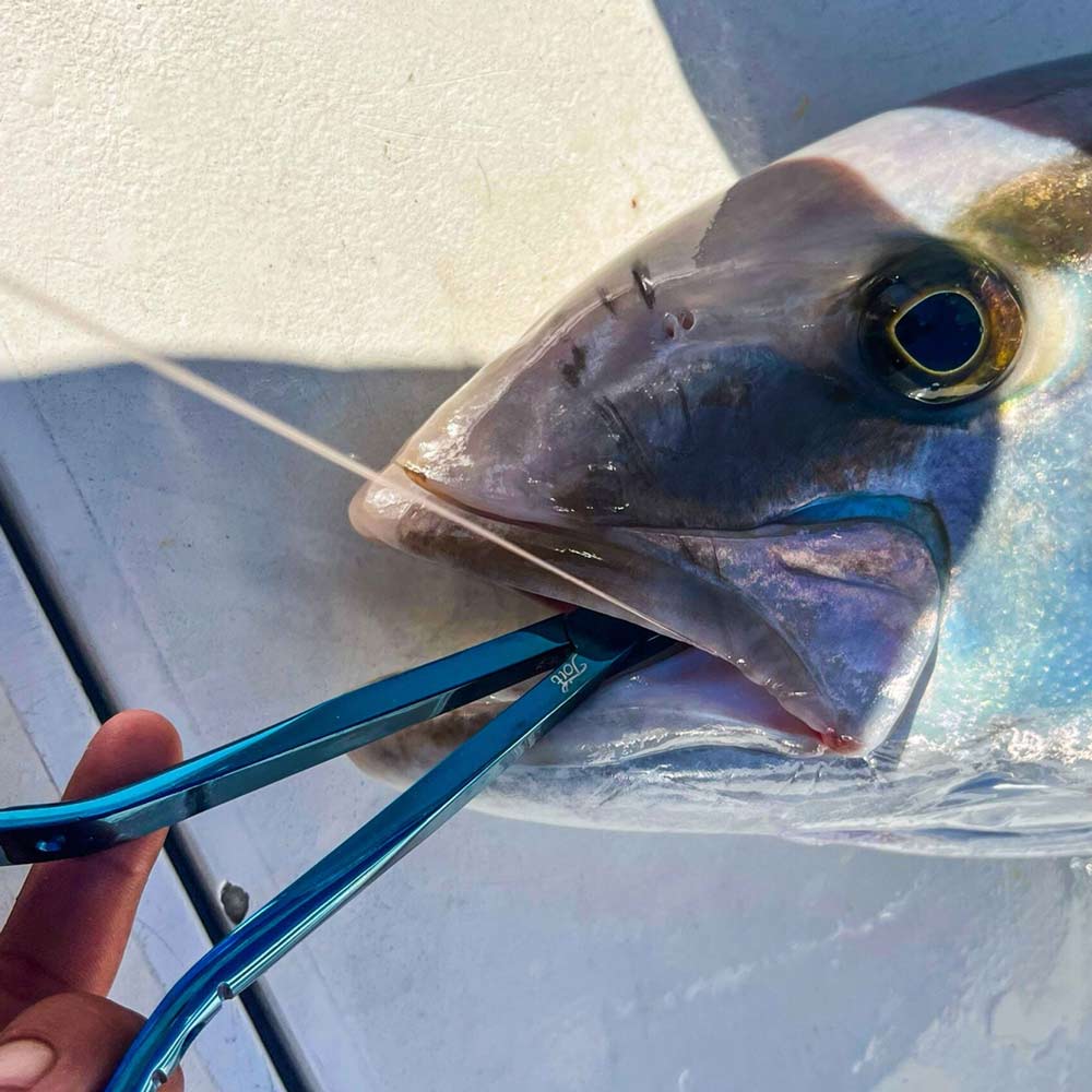 Toit Long Nose Pliers