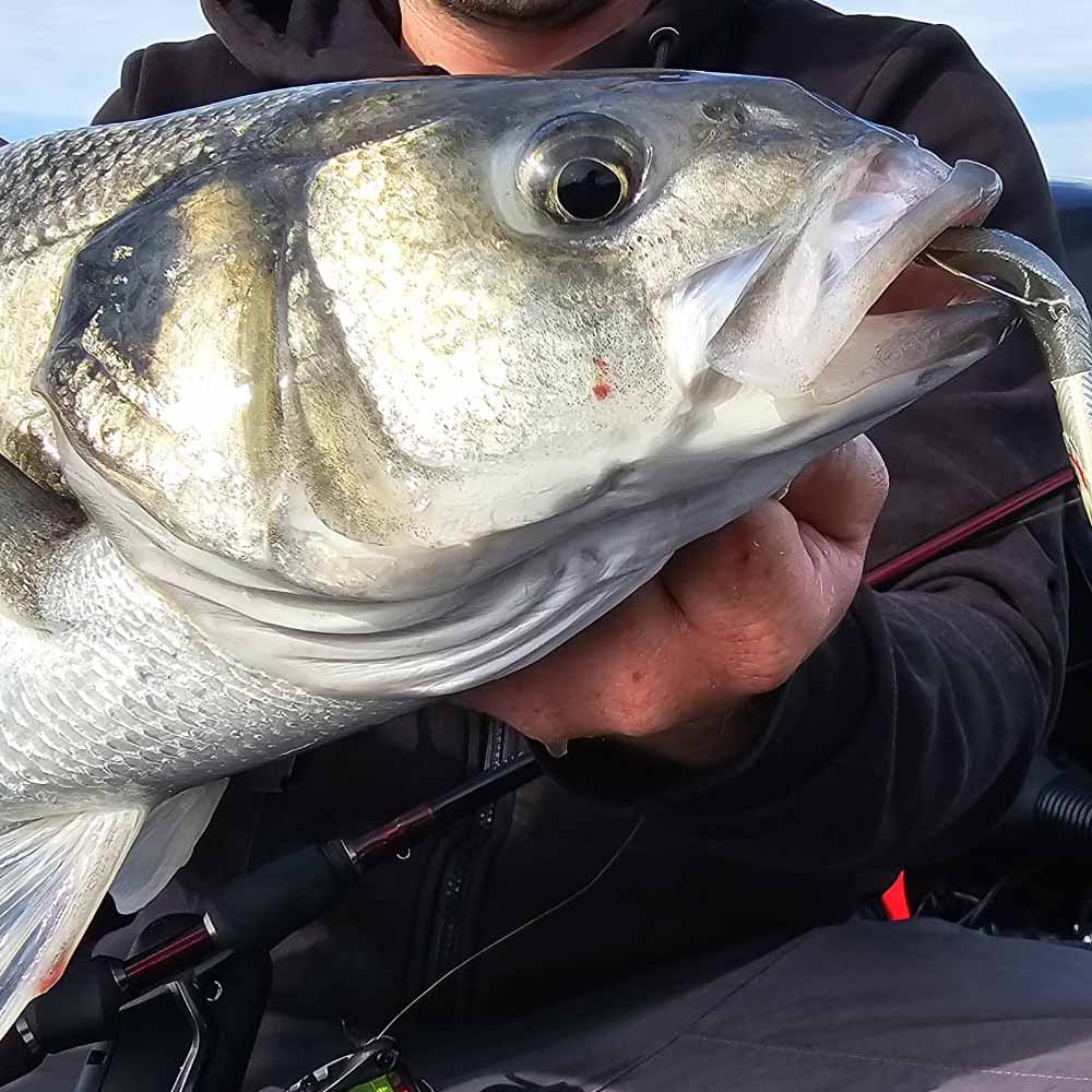 Westin Sandy Andy Weedless Sandeel Lure