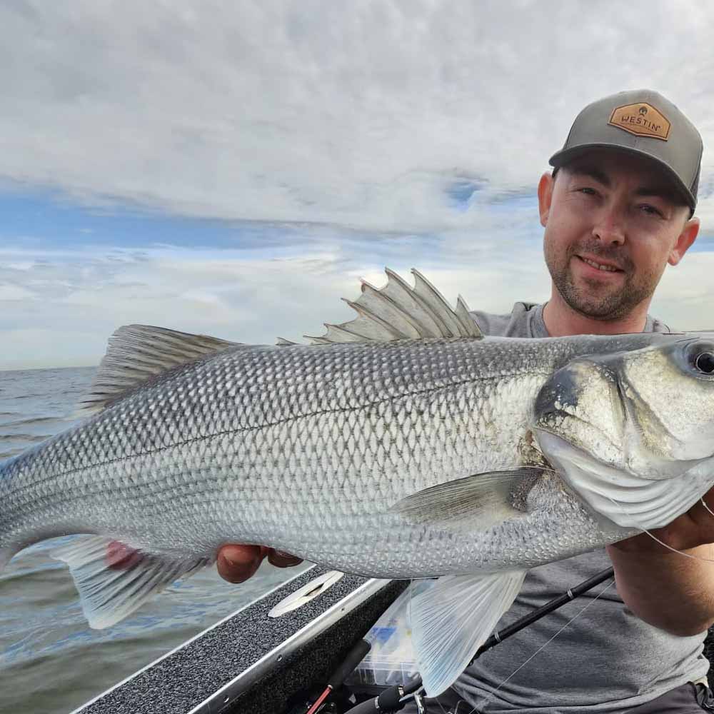 Westin Sandy Andy Weedless Sandeel Lure