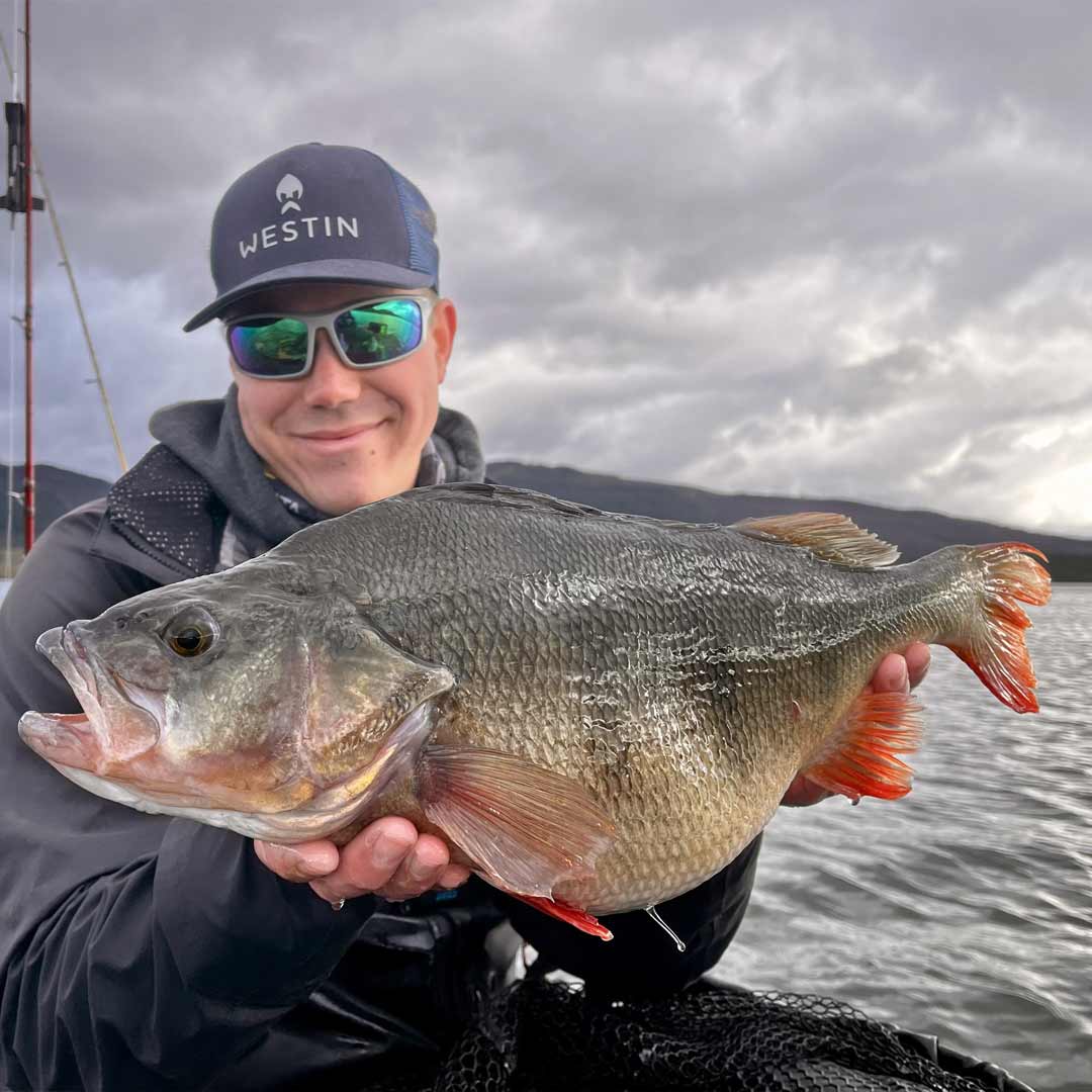 Westin W10 13 Coastal Morning Mist Braid