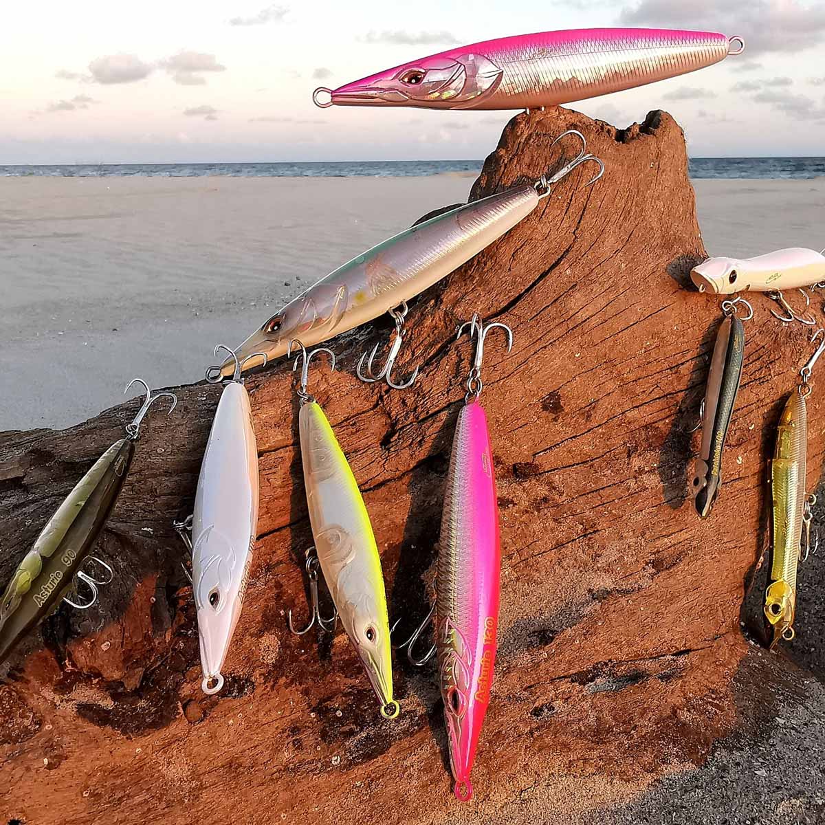 Xorus Asturie Bass Fishing Lure