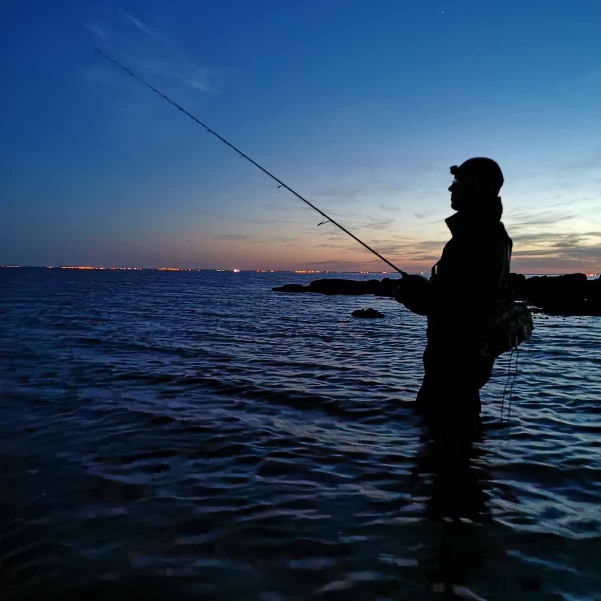 Xorus Asturie Bass Fishing Lure