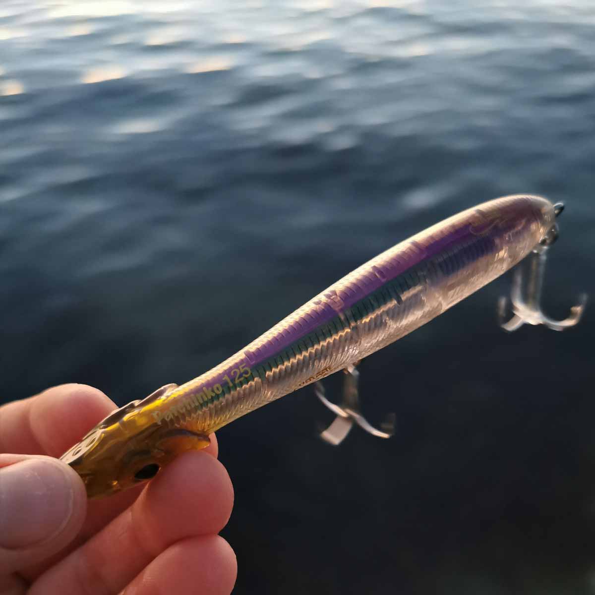 Xorus Patchinko Surface Lure