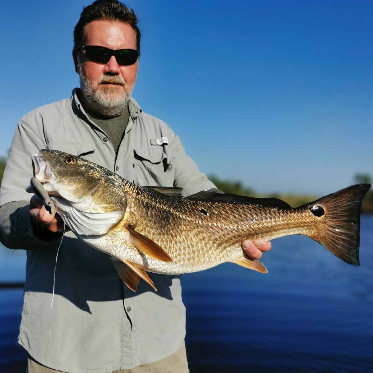 Xorus Patchinko Surface Lure