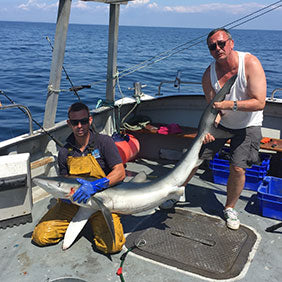 2018 Shark Angling Festival Fishing Report