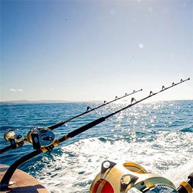 Saltwater Lure Fishing, Popping & Jigging Tackle - Rok Max