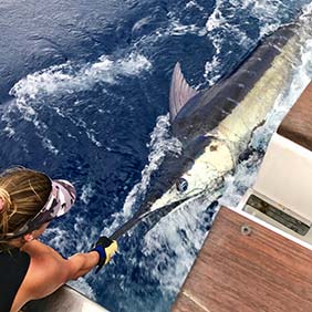 Vanuatu – Fishing Far Flung Shores