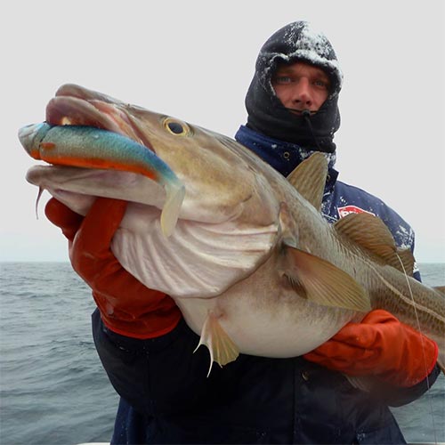 Softbait Lures