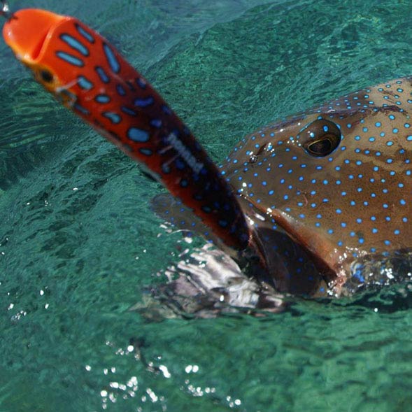 Saltwater Sea Fishing Lures & Jigs