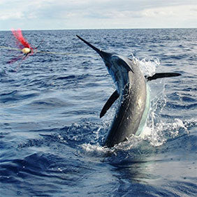 Big Game Fishing & Trolling Lures