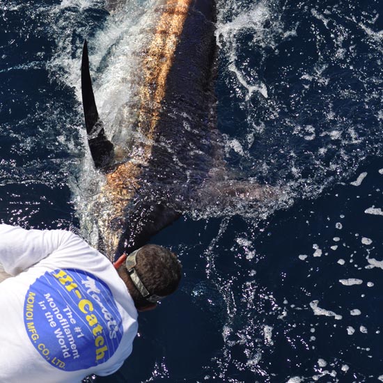 Big Game Fishing Line