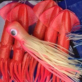 Big Game Fishing Lure Kits