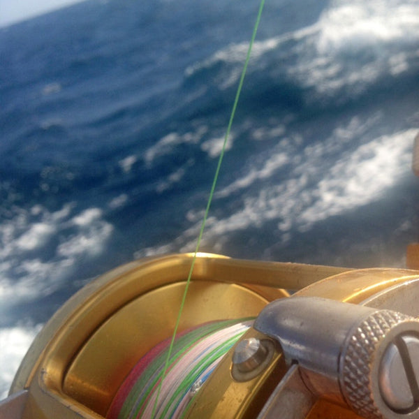 Boat Fishing Lines