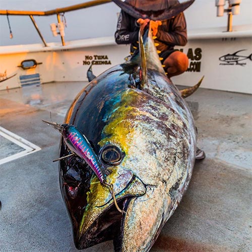 Diving Lures and Crankbaits