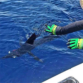 Protective Fishing Gloves