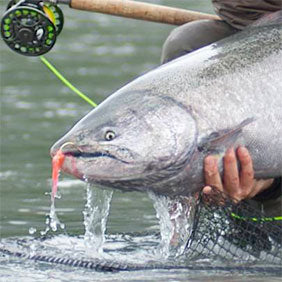 Freshwater Fly Fishing Hooks for Salmon, Sea-Trout & Steelhead