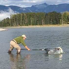 Fishing Nets for Salmon, Sea-Trout & Steelhead