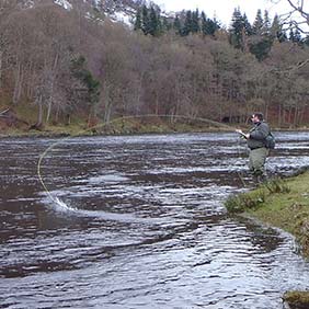 Fly Fishing Rods for Salmon, Sea-Trout & Steelhead