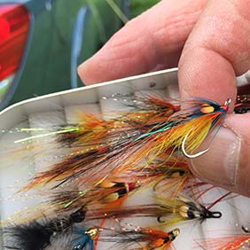 Flies for Salmon, Sea-Trout & Steelhead